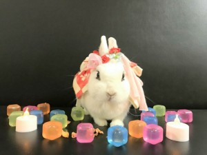 うさぎと幻想の国「うさびび」1